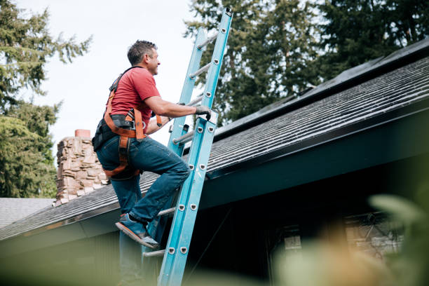 Roof Insulation